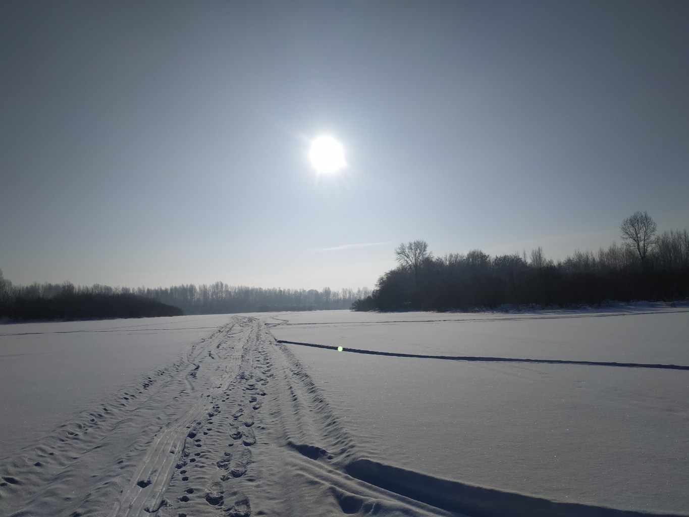 IMG_20250223_105841.jpg