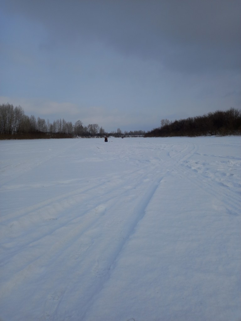 20250308_101853.jpg