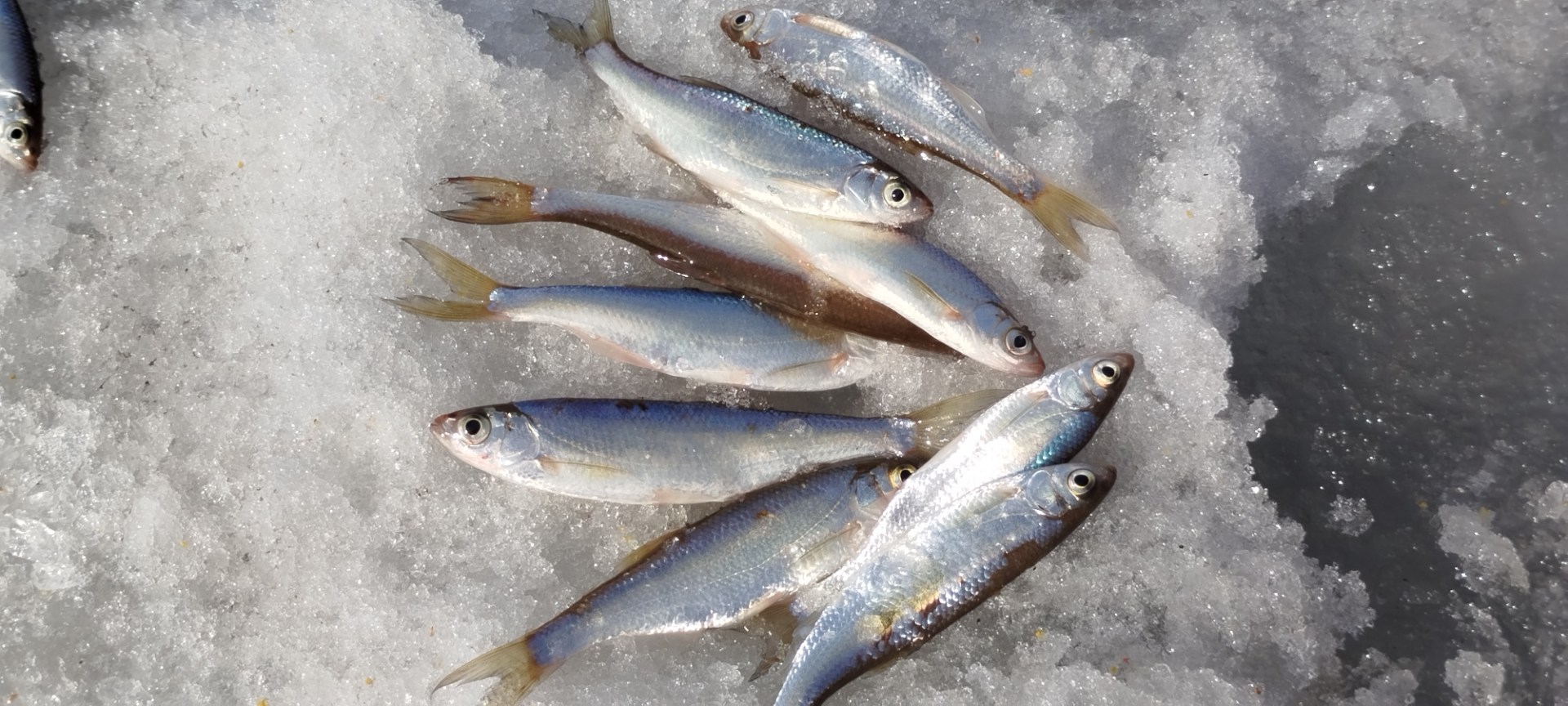 IMG_20250320_141726.jpg