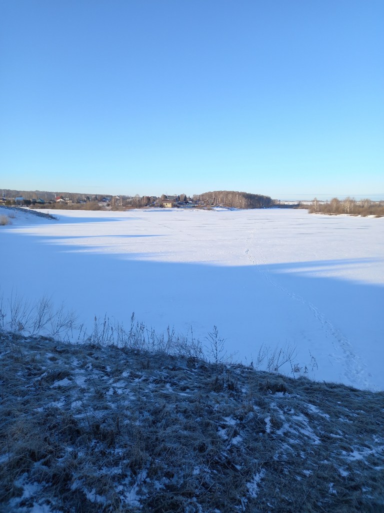 20250326_075950.jpg