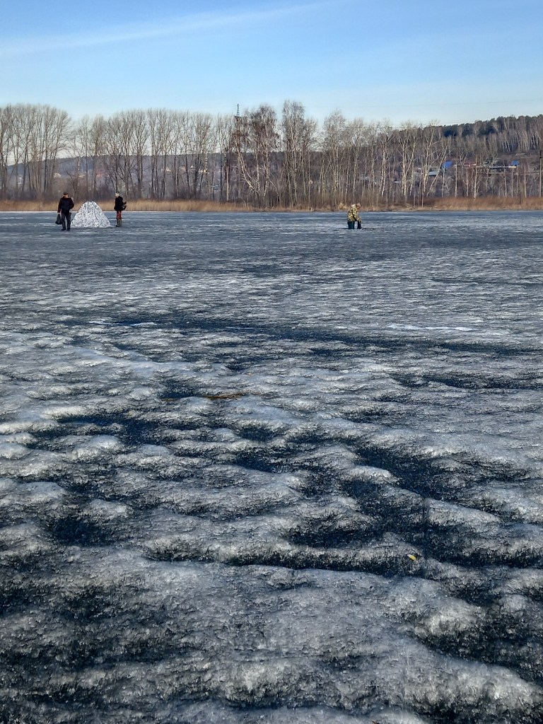 20250407_085141.jpg