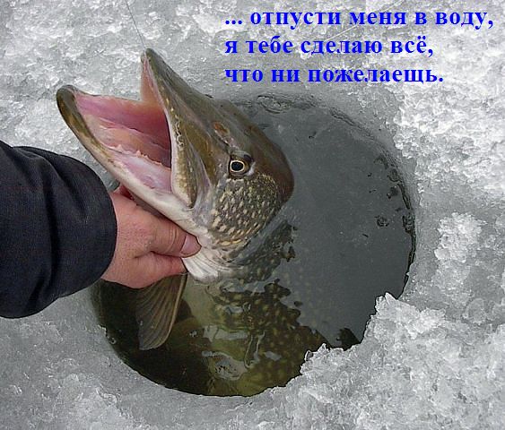 А такую рыбалку помните.jpg