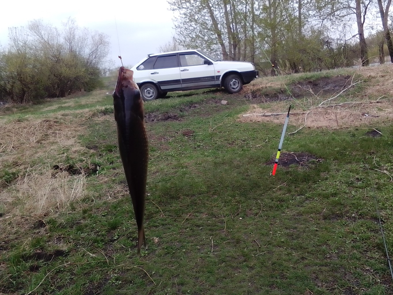 IMG_20250507_175147.jpg