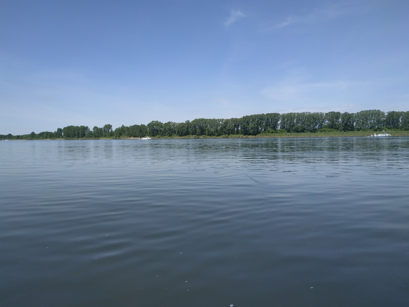 IMG_20250601_113939.jpg