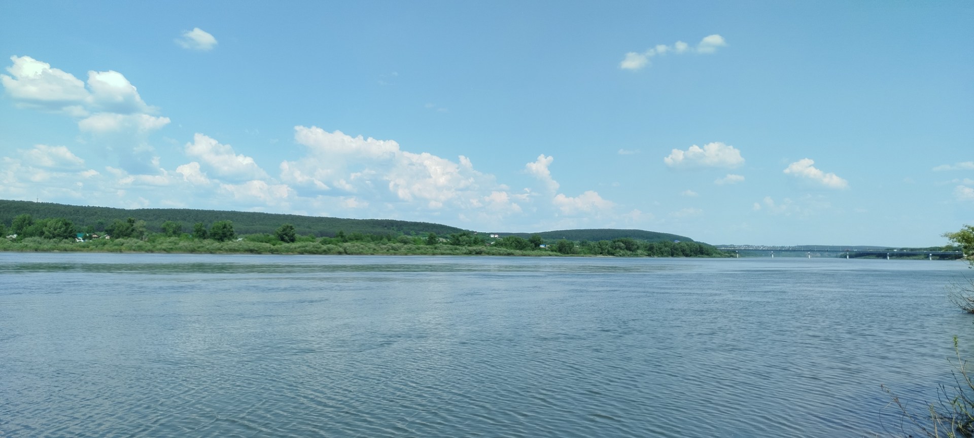 IMG_20250602_142549.jpg