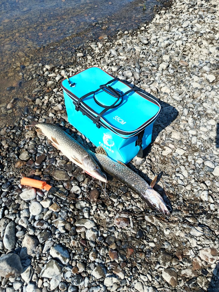 IMG_20250602_163832_920.jpg