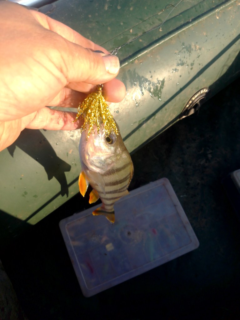 IMG_20250618_065711.jpg