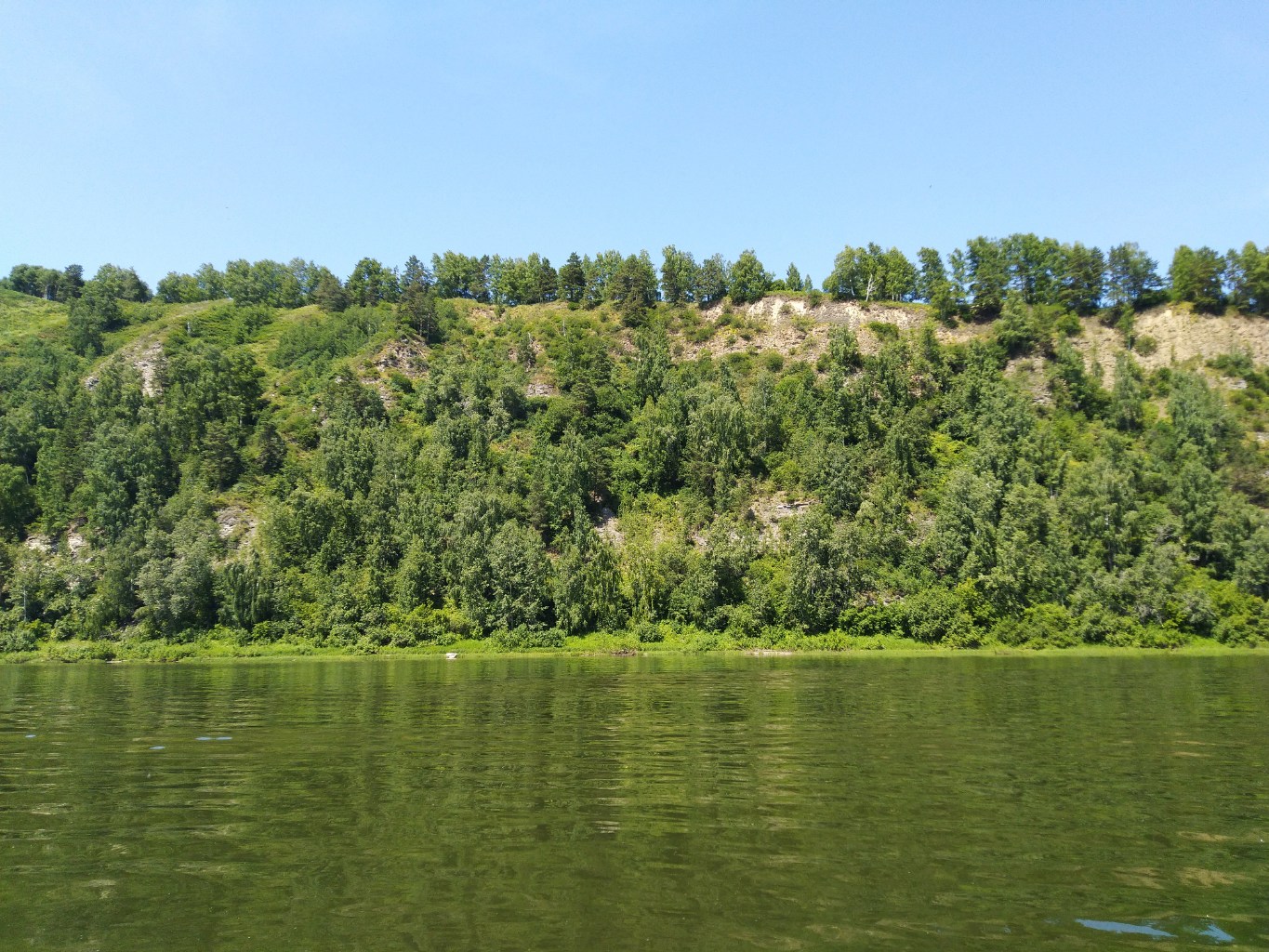 IMG_20250628_123631.jpg