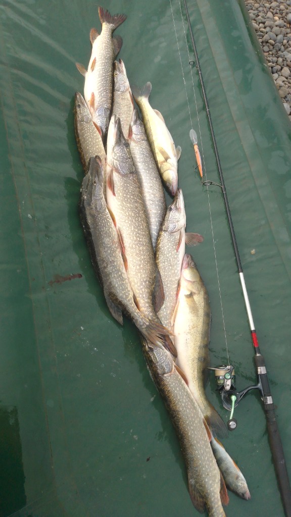IMG-20250701-WA0007.jpeg