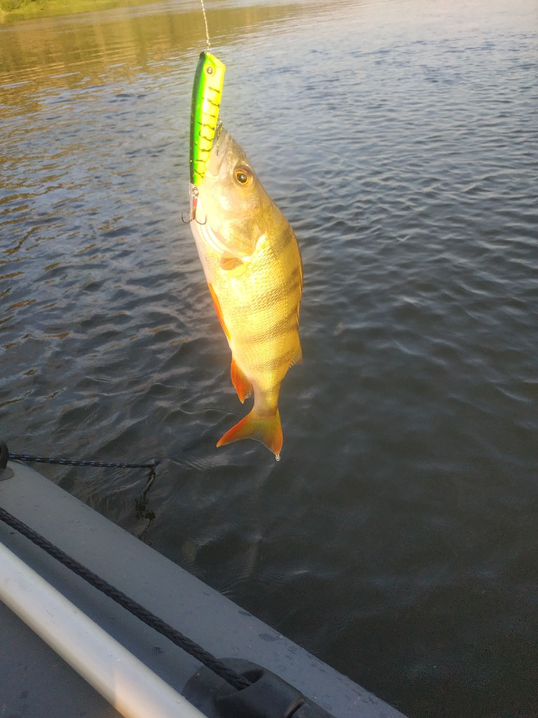 IMG_20250703_090820.jpg
