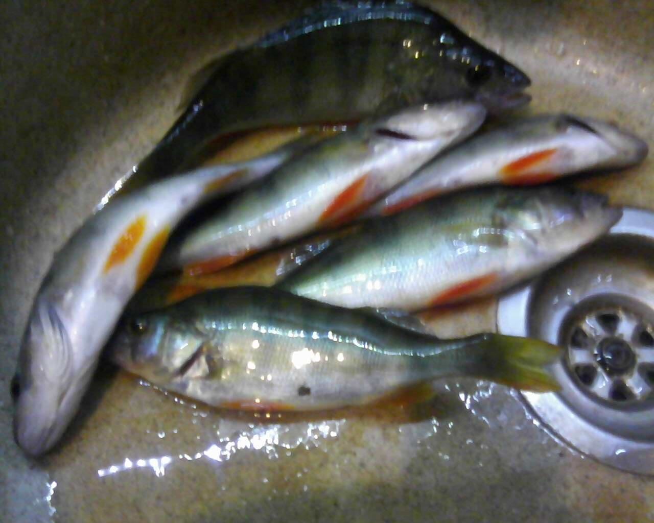 IMG-20250707-WA0016.jpg