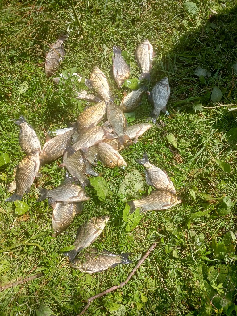 IMG20250721140810.jpg