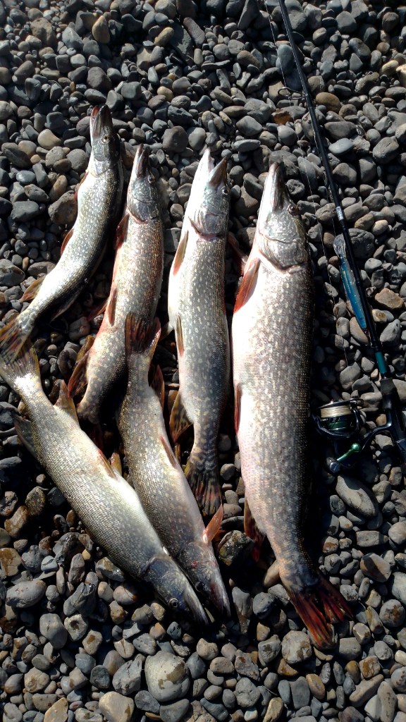 IMG-20250806-WA0002.jpeg