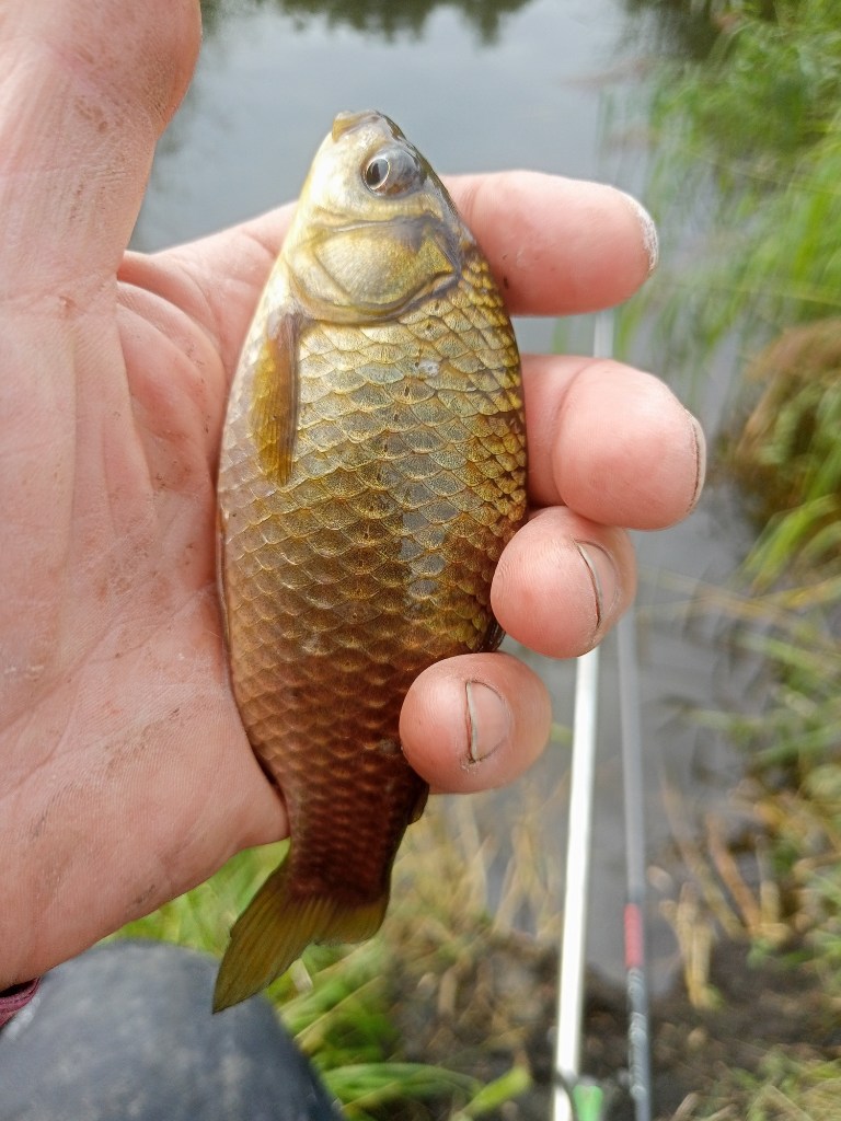 IMG20250809115534.jpg