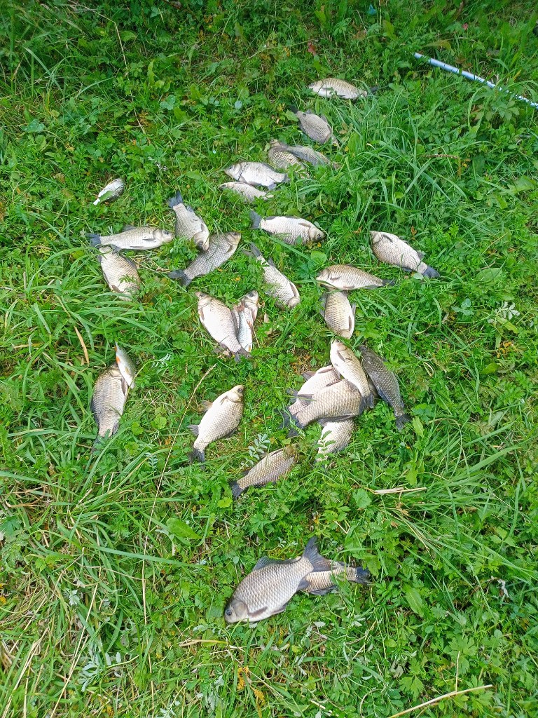 IMG20250817181941.jpg