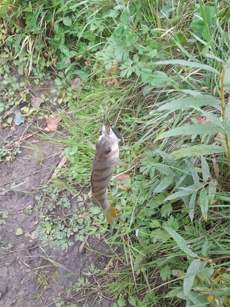 20250914_161209.jpg