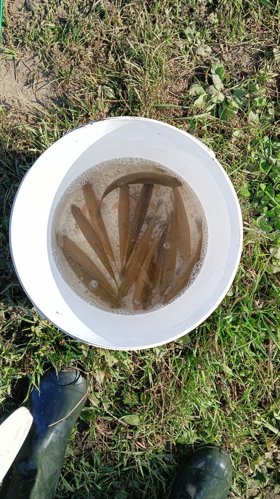 IMG-20250919-WA0019.jpeg