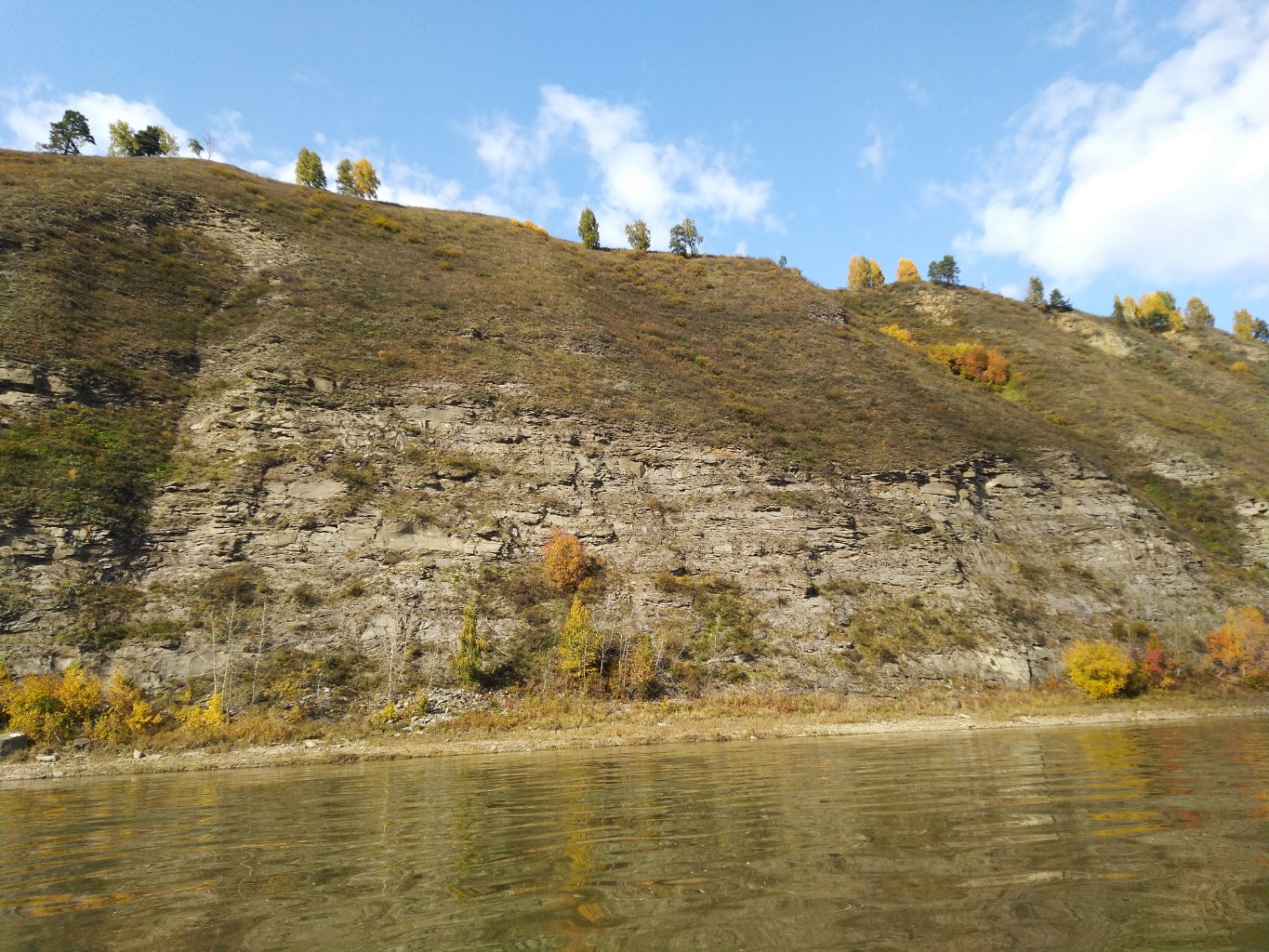 IMG_20250921_135334.jpg