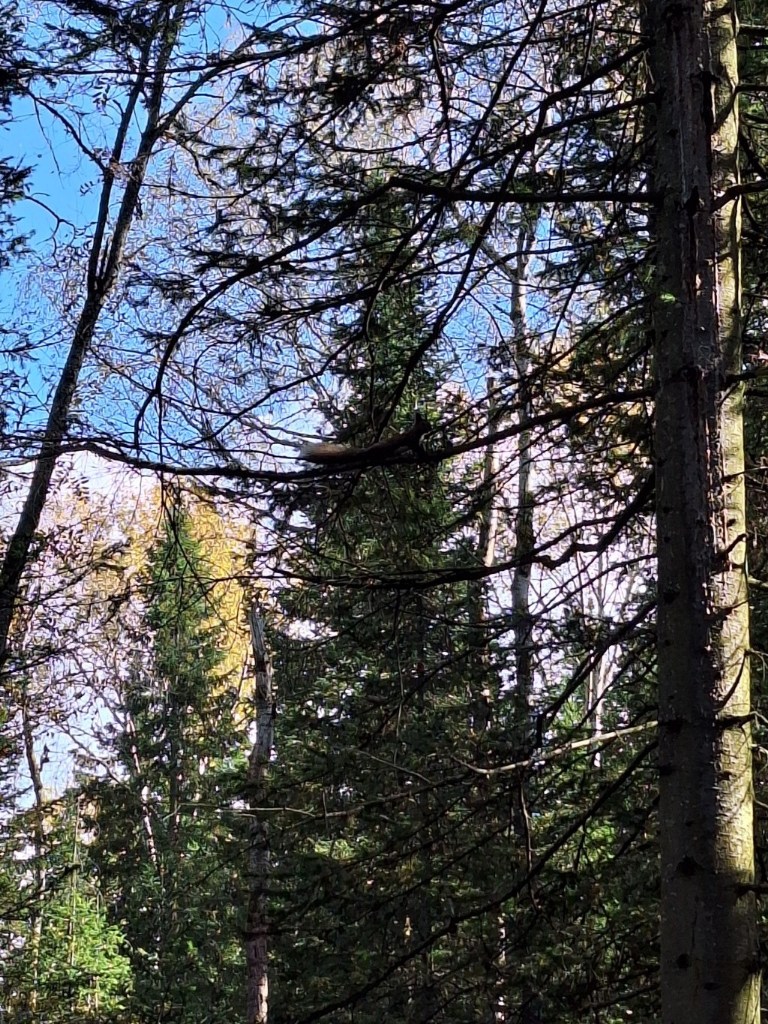 20250917_151054.jpg
