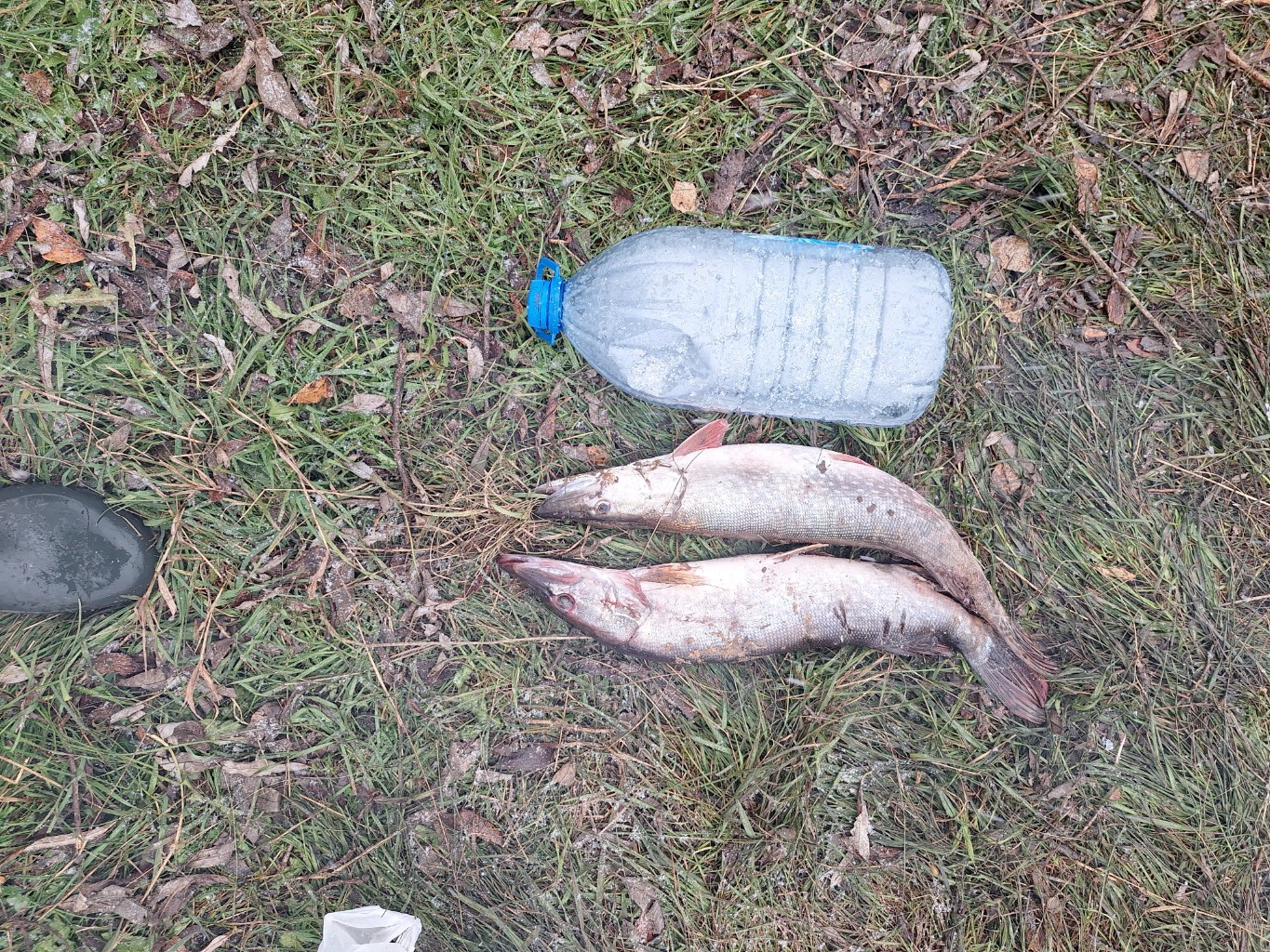 20251004_154100.jpg