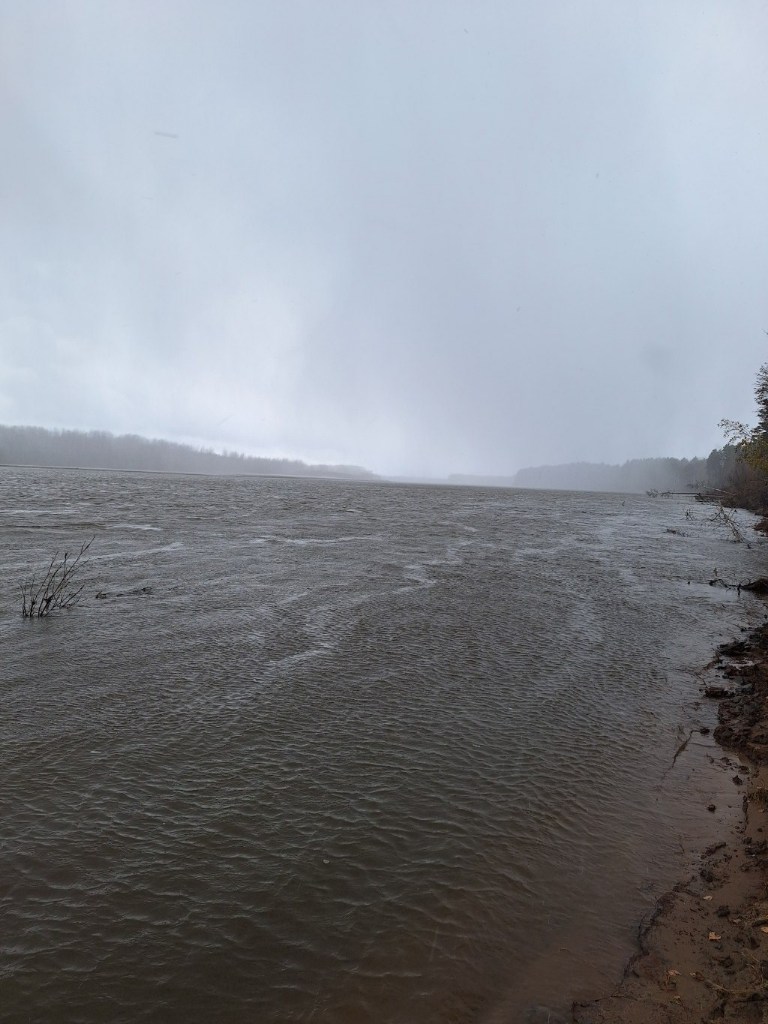 20251003_152514.jpg