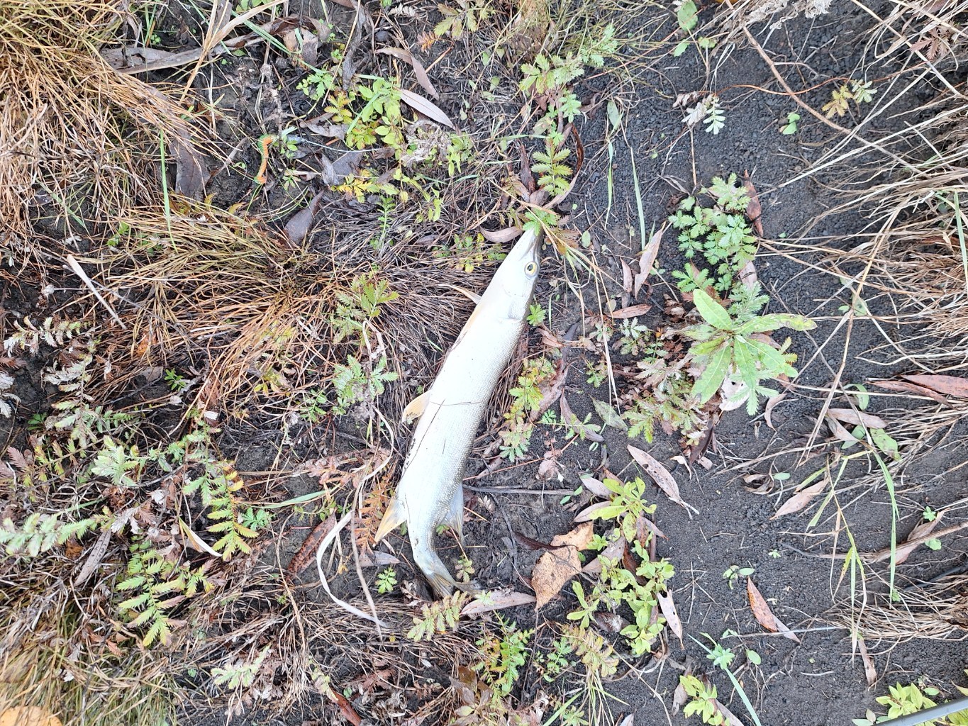 20251003_172811.jpg