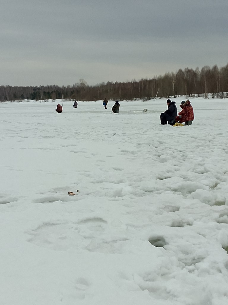IMG_20260329_121649_916.jpg
