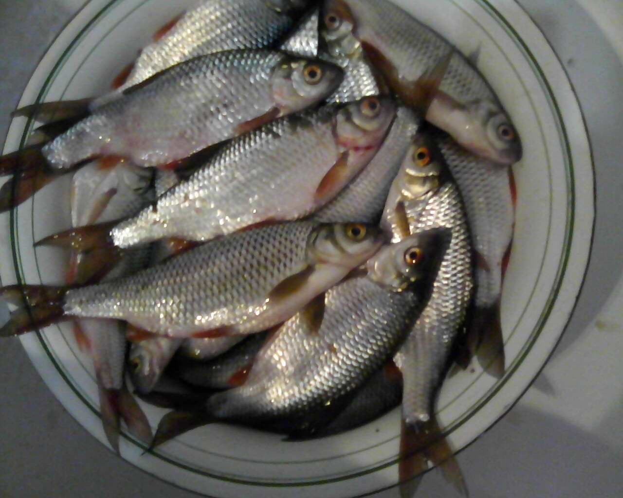 IMG_20260402_220957_038.jpg