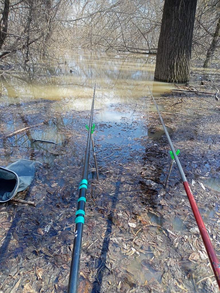 IMG20260426120101.jpg