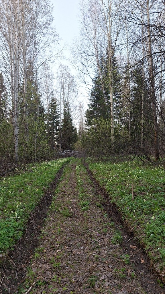 20260507_203652.jpg