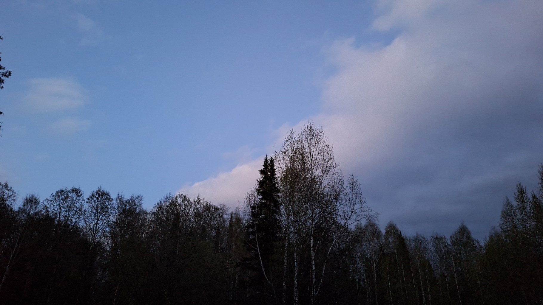 20260513_220706.jpg