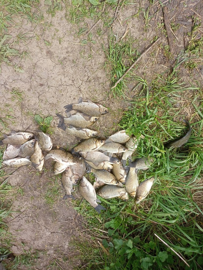 IMG20260528140522.jpg