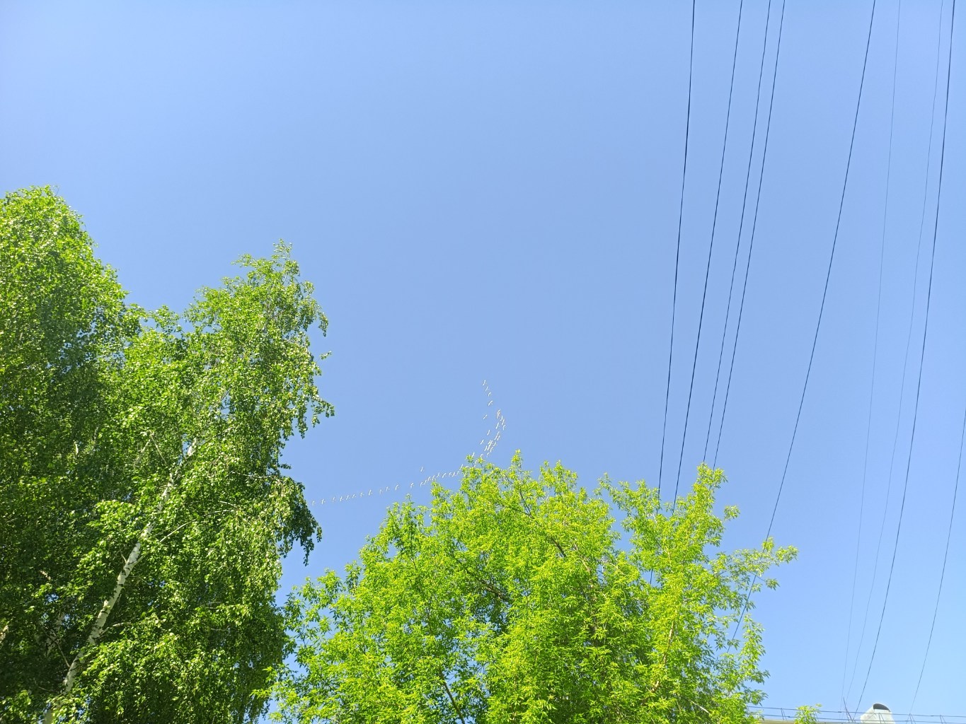 IMG_20260605_105958.jpg