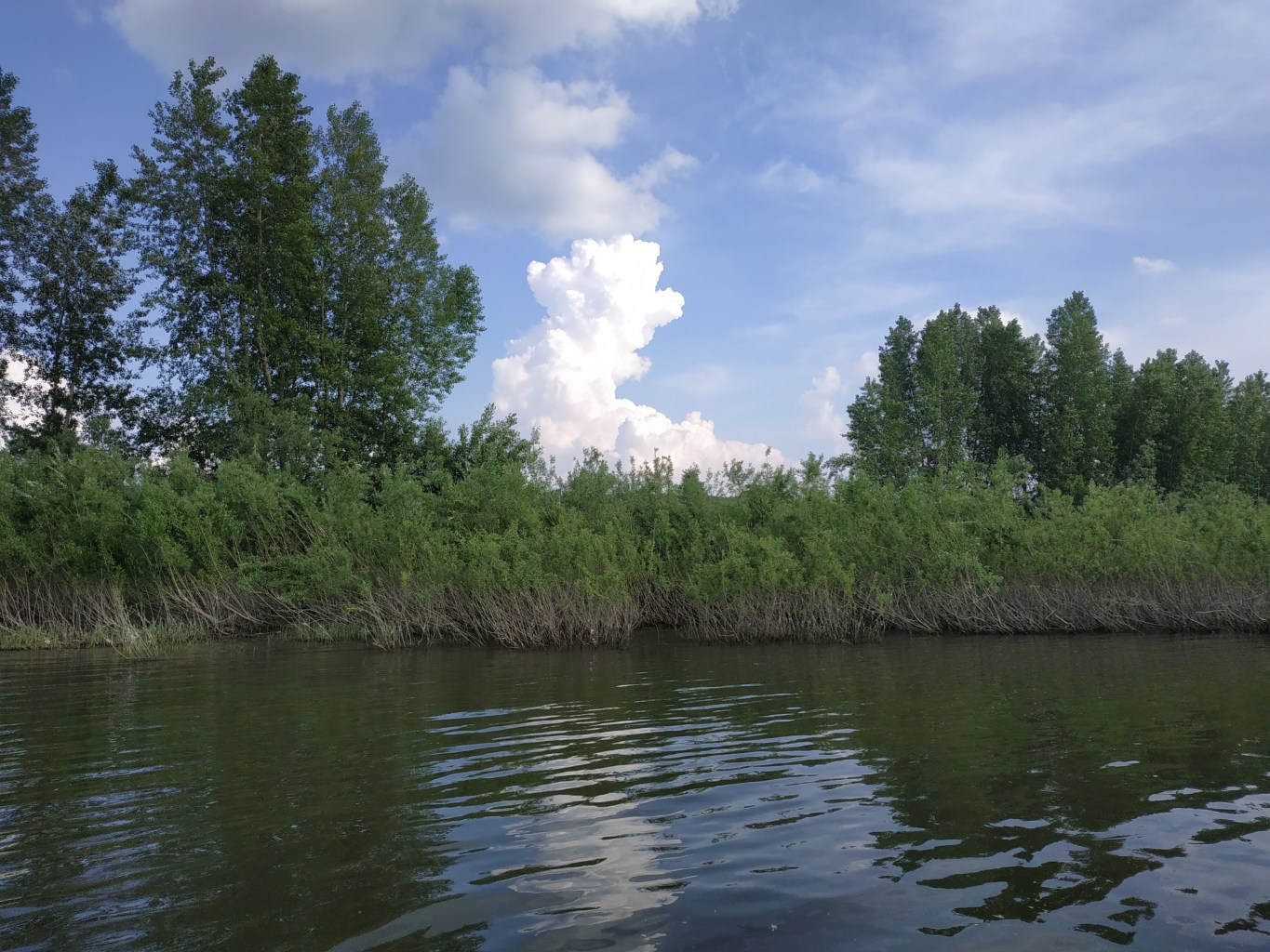 IMG_20260613_165128.jpg