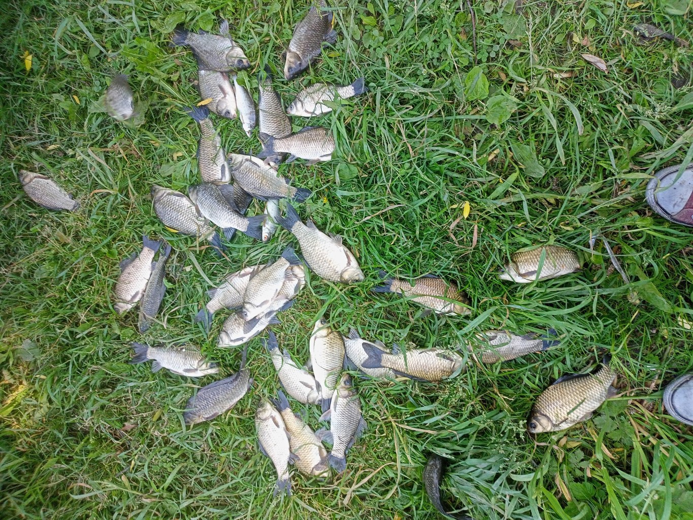 IMG20260621133158.jpg