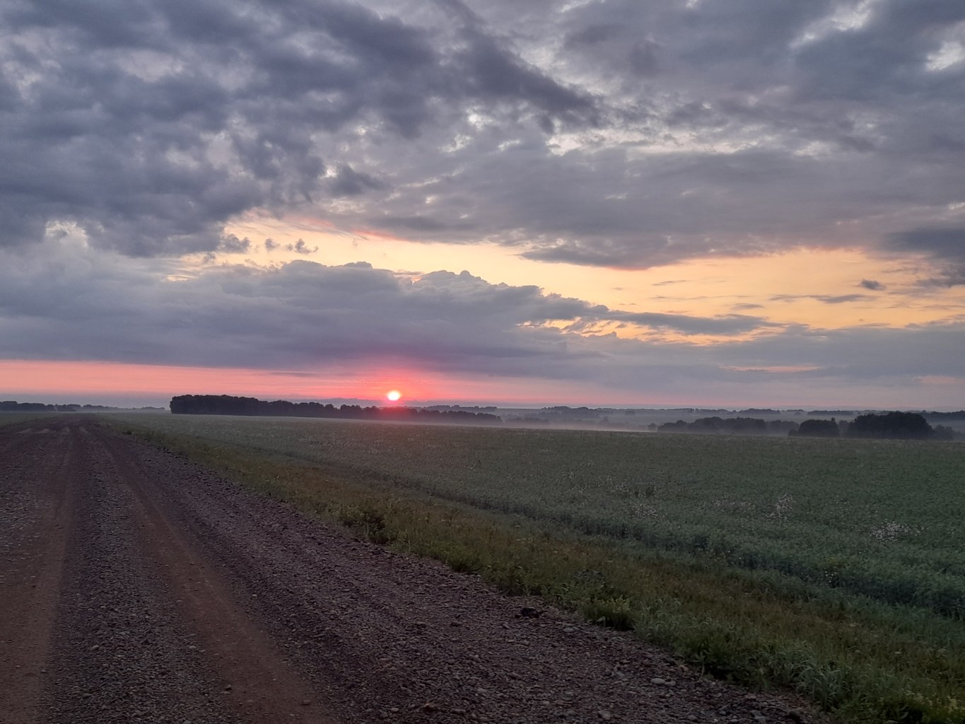 20260629_044536.jpg