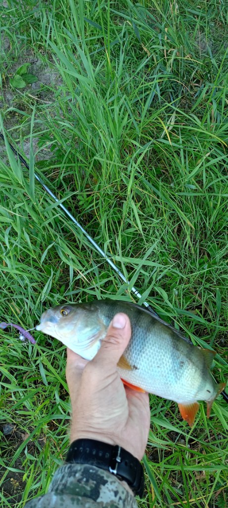 IMG20260710055121.jpg