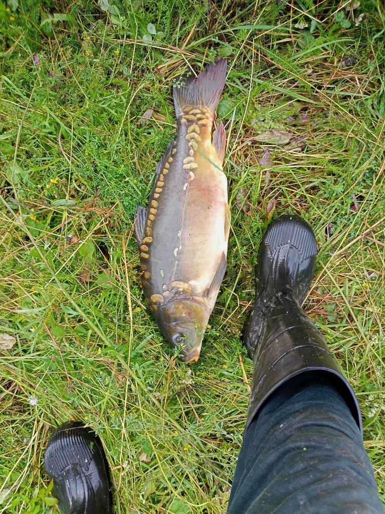 IMG20260724173426.jpg