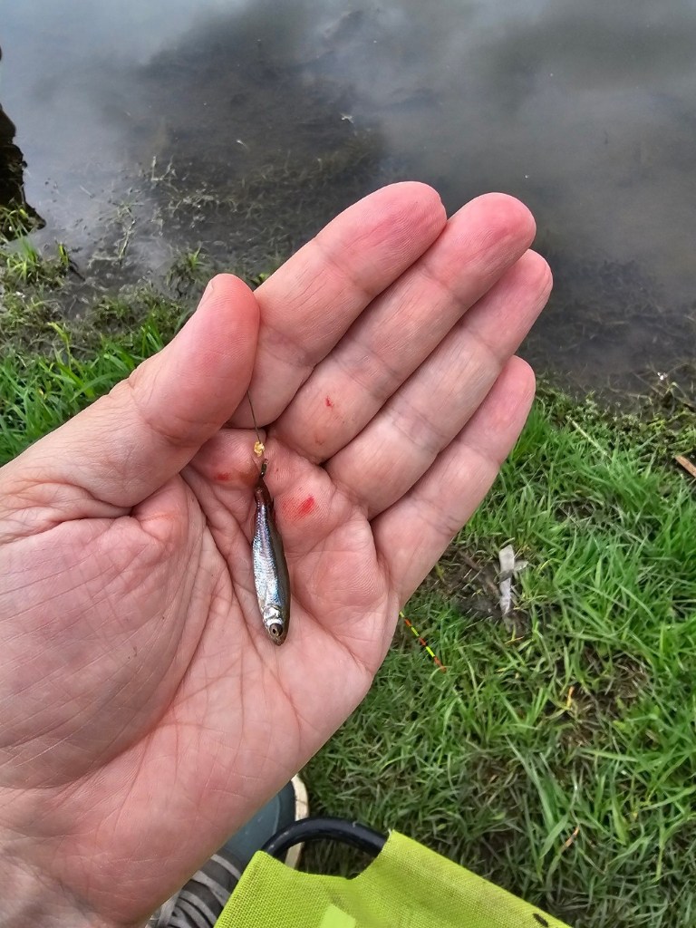 20260531_105053.jpg