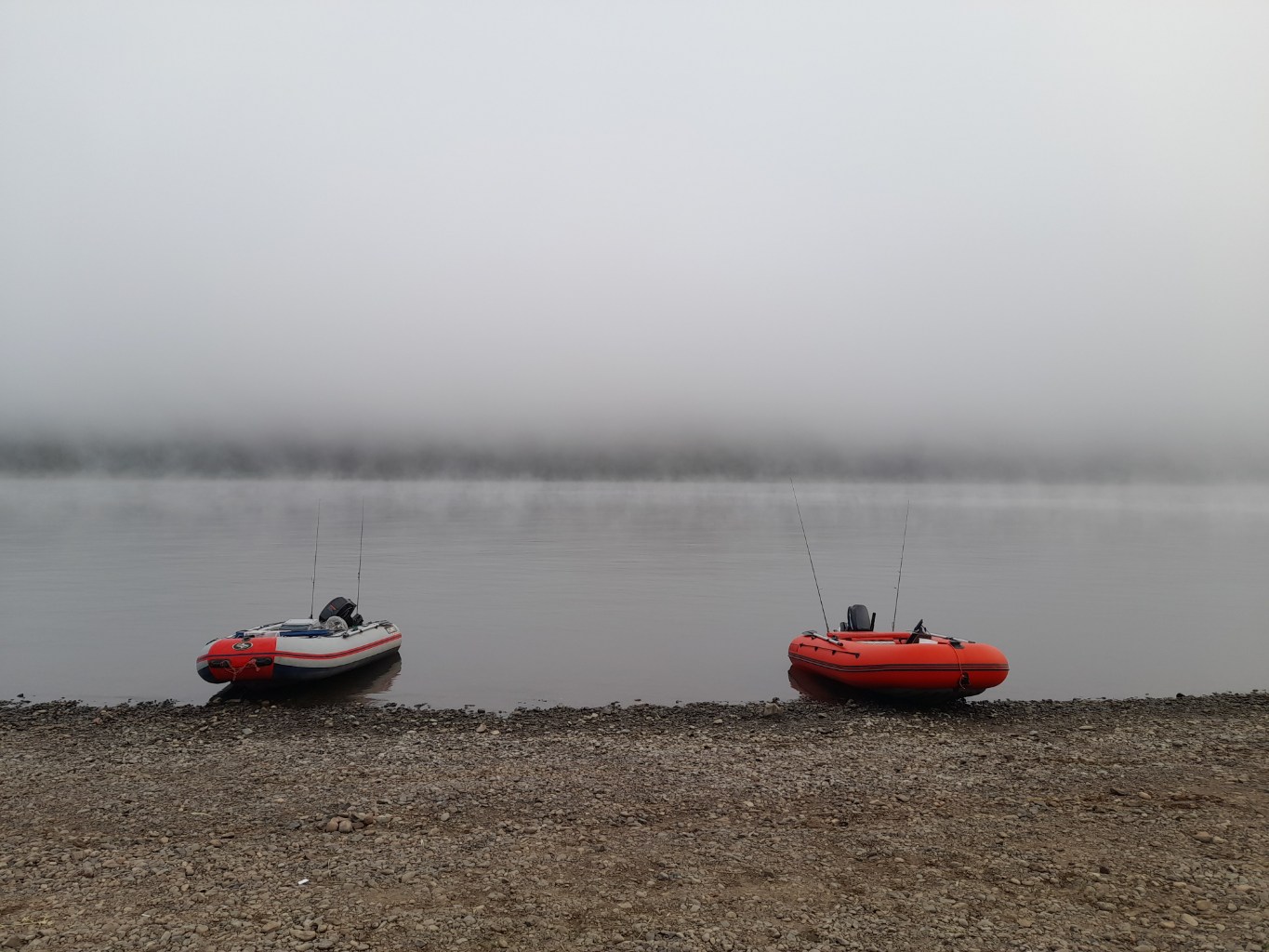 20260814_063751.jpg