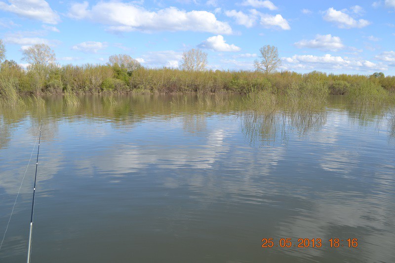 DSC_0187.JPG