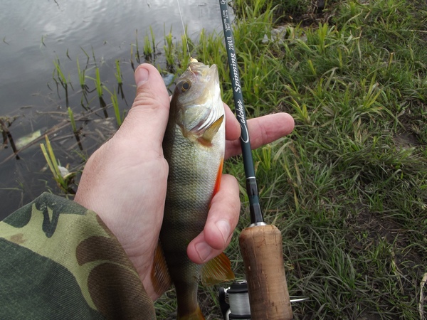 DSCF0639.JPG