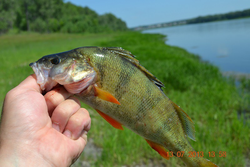 DSC_0102.JPG