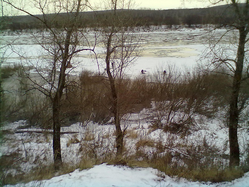 04.12.2013 (12).jpg