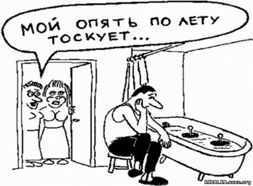 15158777.jpg