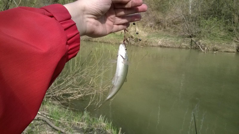 WP_20140508_020.jpg