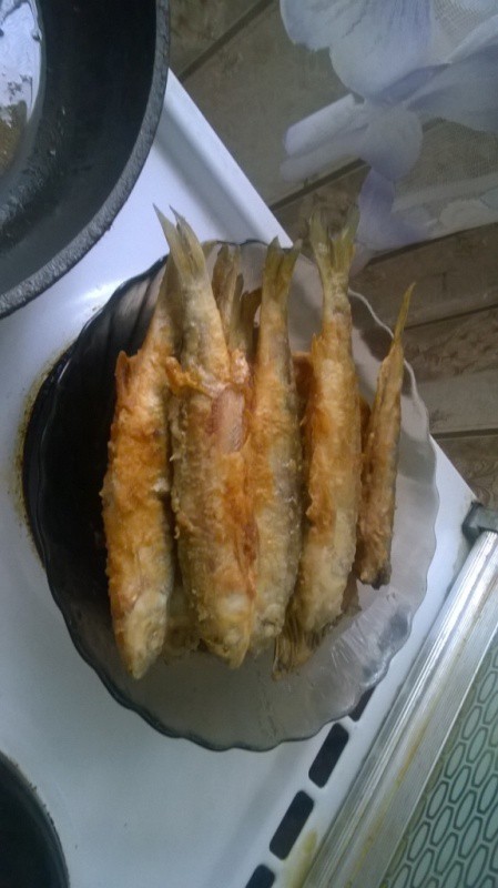 WP_20140509_024.jpg