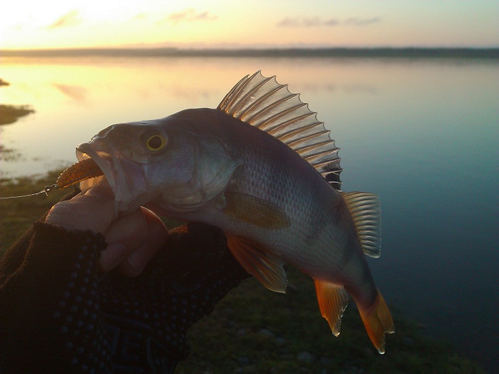 WP_000629.jpg