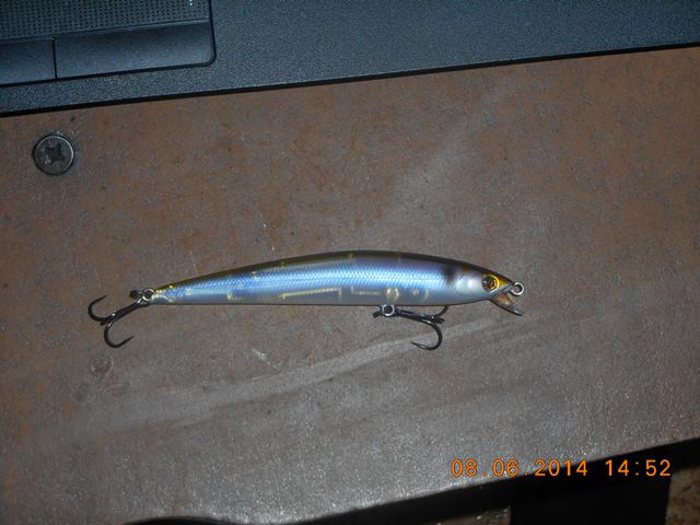 DSCN0430.JPG