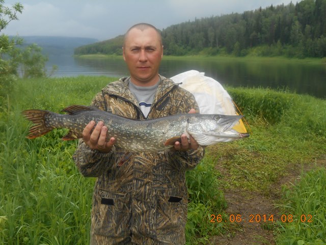 DSCN0485.JPG